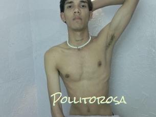 Pollitorosa