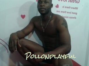 Pollonplayful