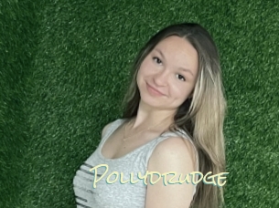 Pollydrudge