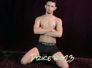 Price_big23