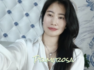 primerosa Porn Monkey Cash