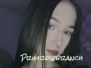 Primrosebranch
