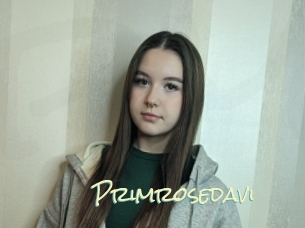 Primrosedavi