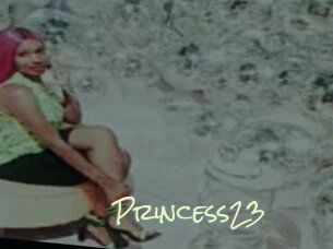 Princess23