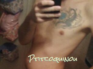 Ptitcoquinou