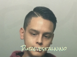 Purevestalnino