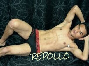 REPOLLO