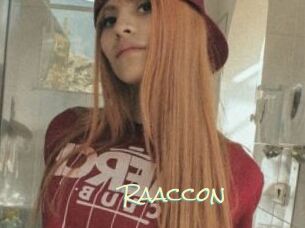 Raaccon