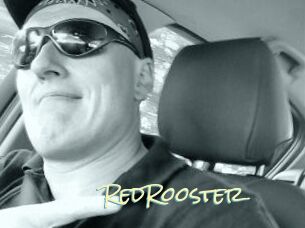 RedRooster