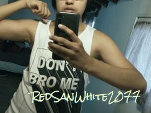 RedSanWhite2077 Porn Monkey Cash