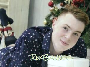 RexBanner