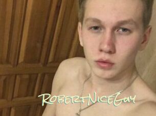 RobertNiceGuy