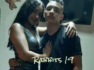 Rabbits_19