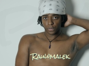 Rauwmalek