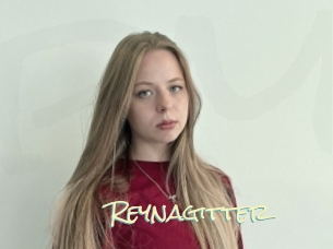 Reynagitter