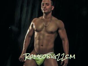 Romeobig22cm