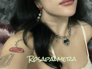 Rosapalmera