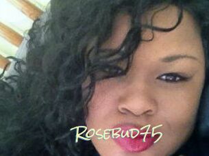 Rosebud75