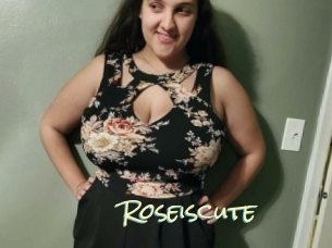 roseiscute Porn Monkey Cash