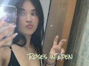 Roses_in_eden