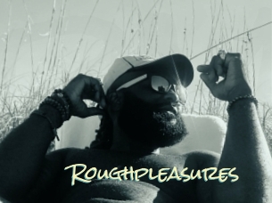 Roughpleasures
