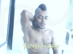 royblackbig Porn Monkey Cash