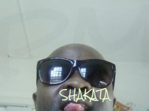 SHAKATA Porn Monkey Cash