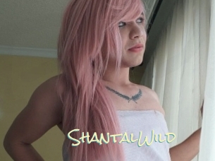 ShantalWild Porn Monkey Cash