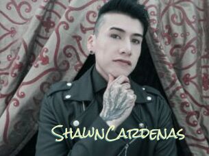 ShawnCardenas