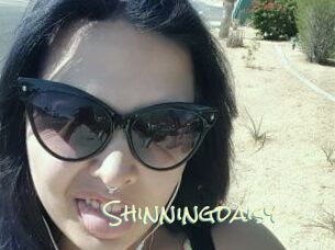 Shinningdaisy