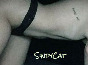 SindyCat