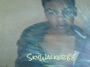 SkyWalker88