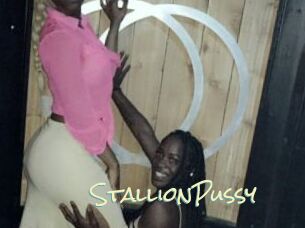 StallionPussy