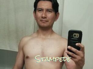 Stampede