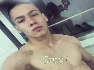 Stier