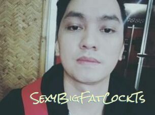 _SexyBigFatCockTs_