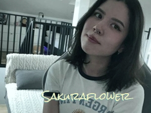 Sakuraflower