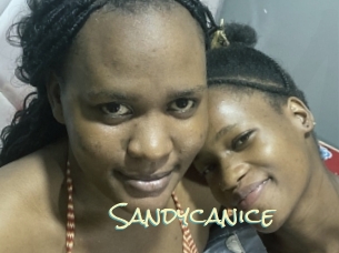 Sandycanice