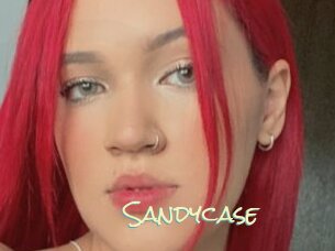 Sandycase