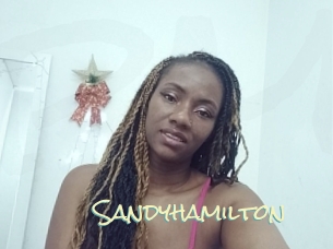 sandyhamilton Porn Monkey Cash