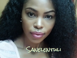 Sanelentuli