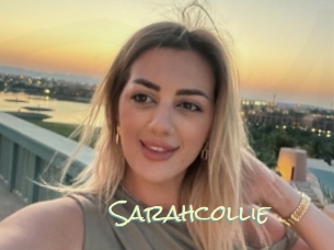 Sarahcollie