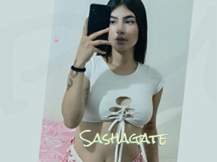 Sashagate