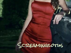 Screaminglotus