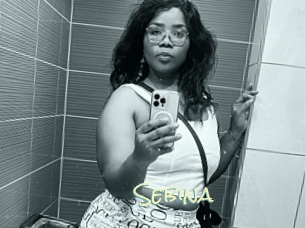 sebina Porn Monkey Cash
