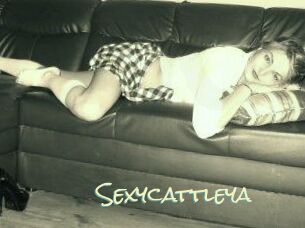 Sexycattleya