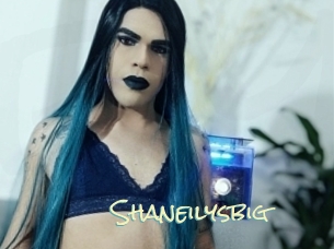 Shaneilysbig