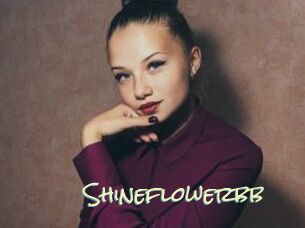 Shineflowerbb