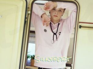 Silkybert