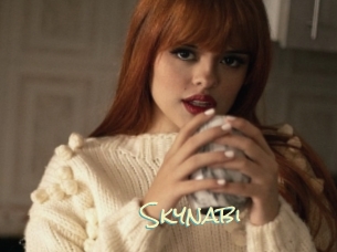 Skynabi